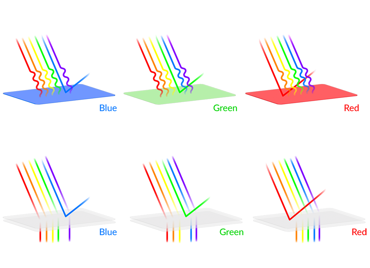 CPI Card Group | Morpho Butterfly